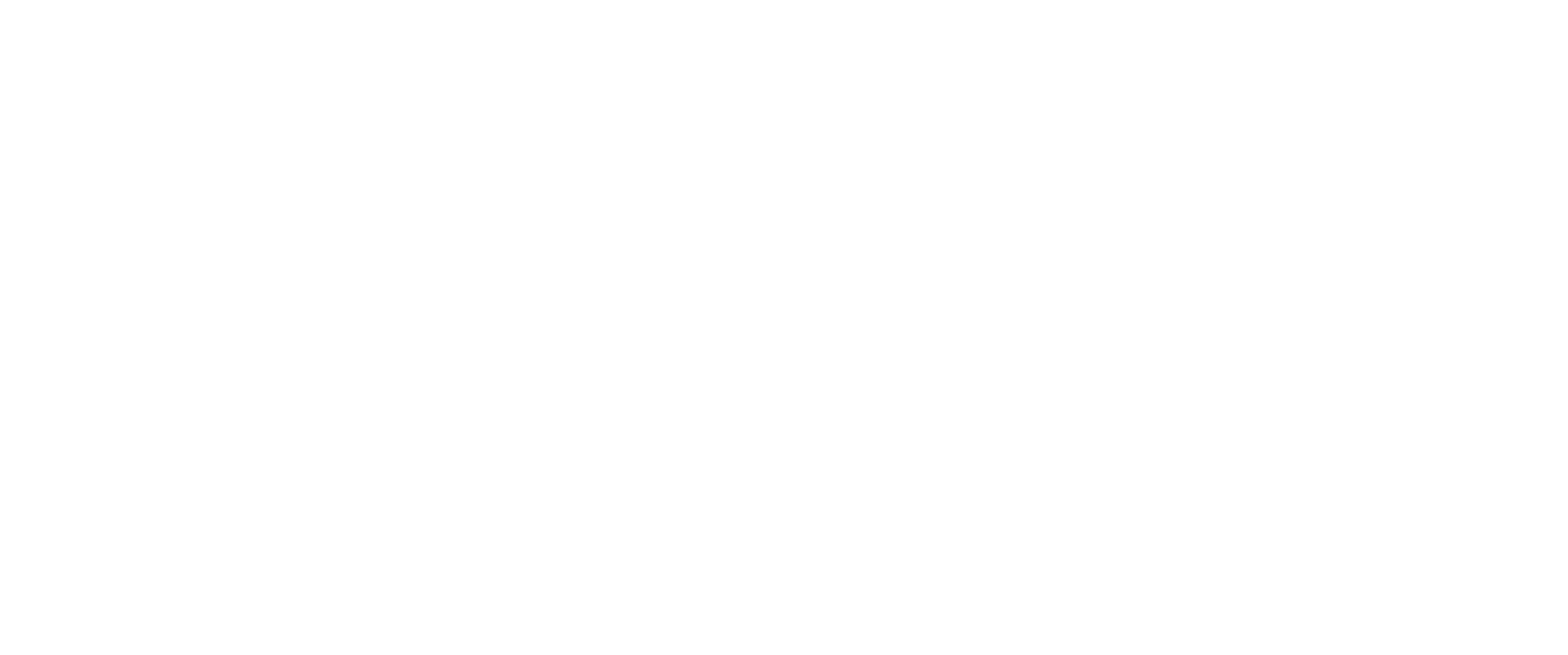 PhysioLoft-logo-white